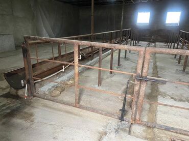Digər kommersiya daşınmaz əmlakı: Ferma Satılır Buzovna - Material: qaya-daş (blok) divarlar, metal — 6