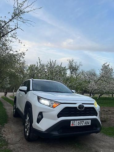 кышкы: Toyota RAV4: 2020 г., 2.5 л, Автомат, Бензин, Кроссовер — 1