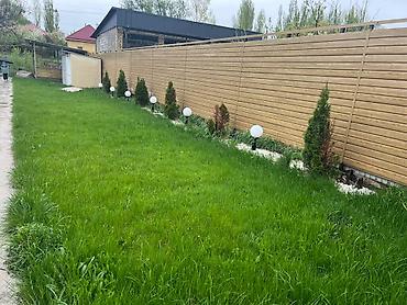 Продажа дач: Продаю! Дача с участком 5 сот., с. Арашан *Общая площадь - 50 кв/м; — 10