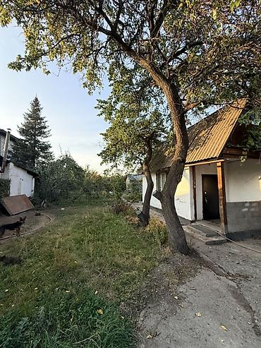 я ищу дача: 2 комнаты, 5 м², 5 соток, Электричество, Холодная вода, Септик — 4