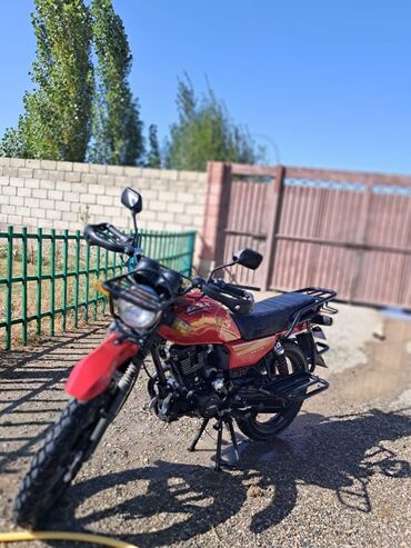люлька от мотоцикла: Эндуро 200 куб. см, Бензин, Взрослый, Новый