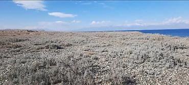 Продажа участков: 200 соток, Договор купли-продажи, Красная книга — 5