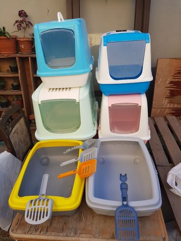 котята в добрые руки баку: Yasil boyuk 40azn Biotualet qab pisik ucun Diger 3u 30aznden Diger