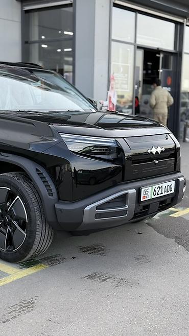 byd leopard 3: BYD FangChengBao Leopard 3: 2026 г., Автомат, Электромобиль, Кроссовер — 2