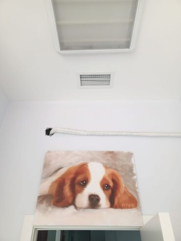 Şəkillər, tablolar: Her biri 10 azn — 5