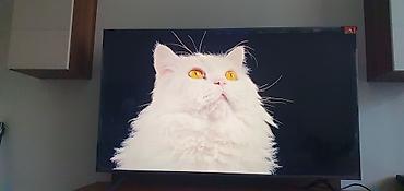 tcl c6k: Телевизор TCL 55C6KS, QLED, 55" QD-MiniLED Основные особенности: - — 3