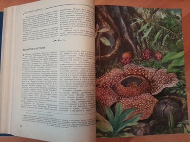 Ensiklopediyalar: Книги "Детская энциклопедия". 8 томов. Чтобы посмотреть все мои — 8