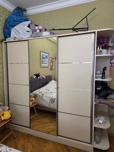 Bitkilər: Kupe, 3 qapılı Düz dolab, Dolab-asılqan