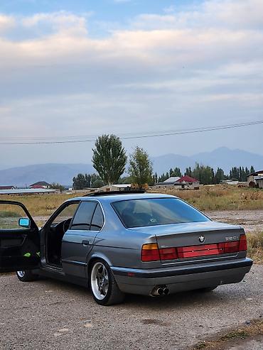 BMW: BMW 520: 1994 г., 3.1 л, Механика, Бензин, Седан — 7