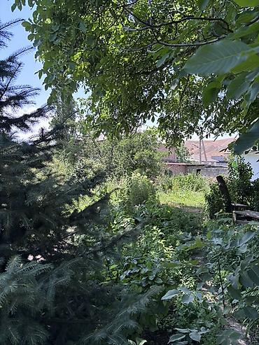 Жер тилкелери: 9 соток — 7
