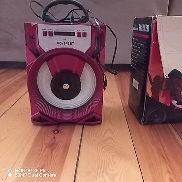 Audio: MS-241BT portativ səs gücləndiricisi - Model: MS-241BT (LED) - Növ — 5