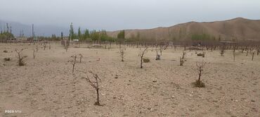 Продажа участков: 4 соток, Красная книга — 4