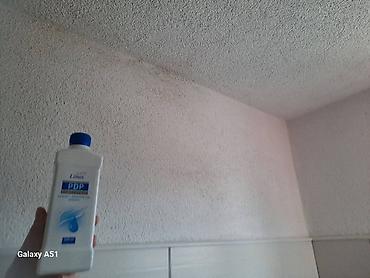 Kućna hemija i proizvodi za kuću: 🌿 PDP koncentrat – efikasno protiv buđi! 🌿 Za zdrav i čist dom bez — 6