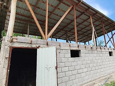 Продажа коттеджей и домов: Общая площадь участка 22 соток . Адрес Село Сосновка улица Фрунзе. В — 11