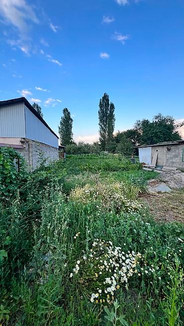 алматинской: 17 соток, Для бизнеса, Договор дарения — 2