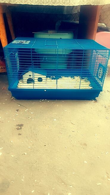 стоимость перепелиных яиц: Продаю клетки для хомячков. от 500 до 1200 сом.также есть шары для