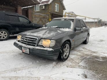 мерседес эс класс: Mercedes-Benz E-Class: 1993 г., 3.2 л, Автомат, Бензин, Седан