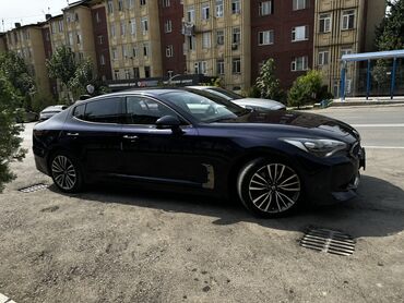Kia : 2017 г.