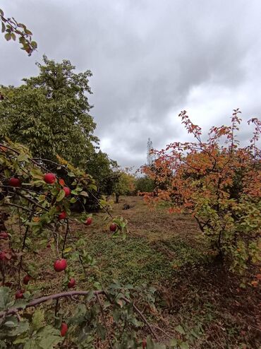 Bağ evlərinin satışı: Alekseevka, 30 kv. m, 15 otaq, Su — 17