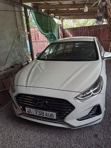 срв белый: Hyundai Sonata: 2018 г., 2 л, Автомат, Бензин, Седан — 1