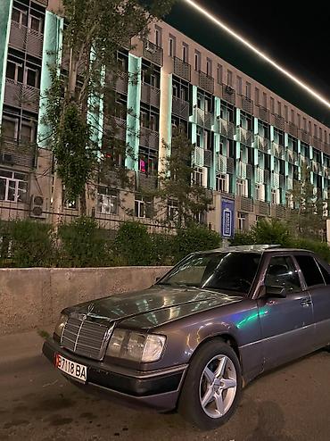 Mercedes-Benz: Mercedes-Benz W124: 1991 г., 2.3 л, Механика, Бензин, Седан — 3