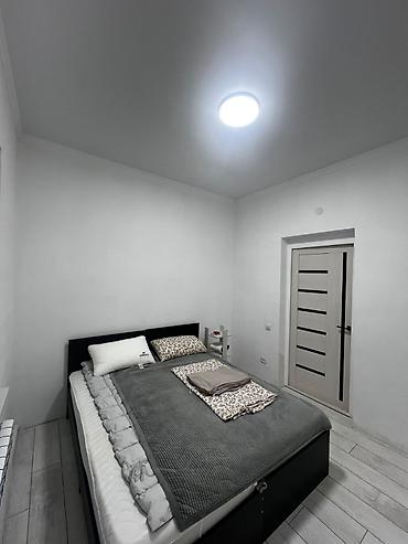 Аренда домов: 250 м², 5 комнат — 3