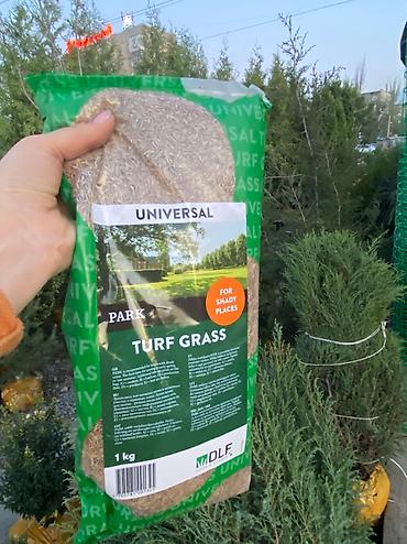 Газон: Газон газоны спорт низко рослый солнечный теневой универсальный — 5