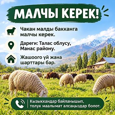 бала караганга: Для получения подробной информации — свяжитесь по указанным в — 1