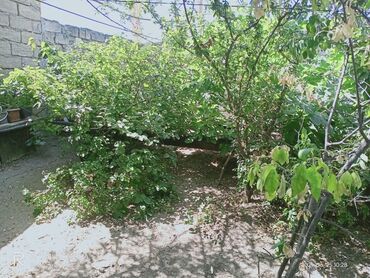 Həyət evləri və villaların satışı: 7 otaqlı, 150 kv. m, Kredit yoxdur, Orta təmir — 30