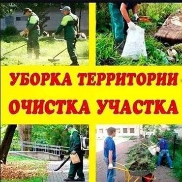 услуги ассенизатор: Уборка территории, Уборка двора и сада