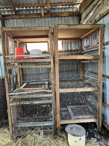 Товары и оборудование для с/х животных: Трех ярусные сетки для выращивание цыпленок бройлер. Цена за 1штук -