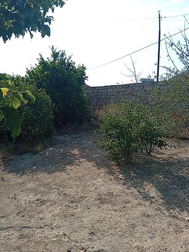 bine sovxoz evler: Bakı, Dübəndi, 5 otaqlı, Köhnə tikili, 1200 kv. m — 10