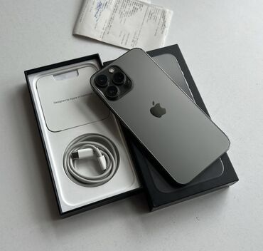 nodizz npad 16: IPhone 13 Pro Max, 256 GB, Graphite