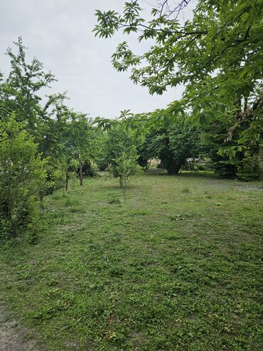 xirdalanda torpaq qiymetleri: 5 sot, Kupça (Çıxarış)