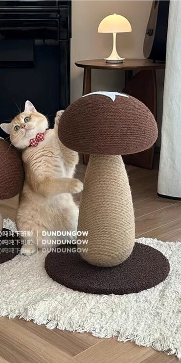 Зоотовары: Зоотовары.
Игрушки для животных — 7