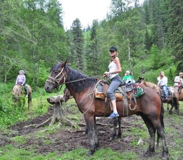 Туристические услуги: Конная прогулка на иссык-куле 🐎 0️⃣5️⃣0️⃣2️⃣3️⃣2️⃣9️⃣4️⃣7️⃣1️⃣☎️ + at lalafo.kg — 2 Туристические услуги: Конная прогулка на иссык-куле 🐎 0️⃣5️⃣0️⃣2️⃣3️⃣2️⃣9️⃣4️⃣7️⃣1️⃣☎️ + — 2