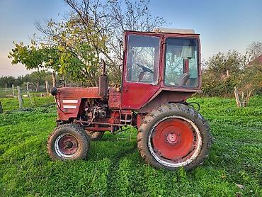 yer sumlayan traktor: Kənd təsərrüfatı üçün universal təkərli traktor - Tip: Kiçik/orta — 3