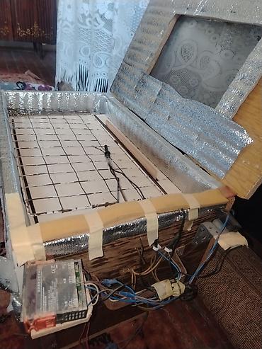inkubator: Bütün növ quşlar üçün — 1