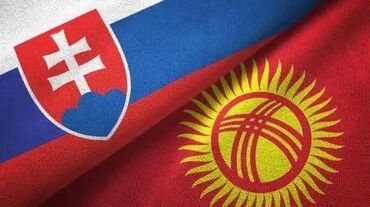 голосовой переводчик: Услуги переводчика