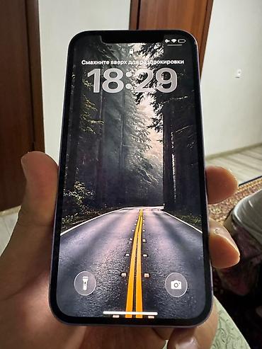 IPhone 12, Б/у, 256 ГБ, Зарядное устройство, Чехол, Кабель, 79 %