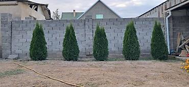 Продажа домов: Дом, 120 м², 5 комнат, Агентство недвижимости, Евроремонт — 3