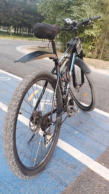 single speed: Горный велосипед, Рама XL (180 - 195 см), Новый — 4