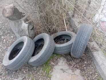 Шины: На докатку на сезон хватит, окончательно