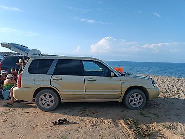 forest: Subaru Forester: 2002 г., 2 л, Автомат, Бензин — 2