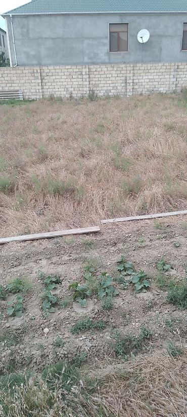 Torpaq sahələrinin satışı: Kənd təsərrüfatı — 7