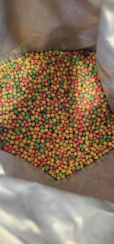 кой коозу: Корм для кои (KOI Fish Food), гранулированный, 2.5 кг - Предназначен — 2