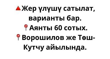 60 соток