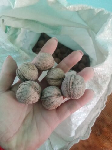 продам соль: Грецкий орех тонкокорые урожай 23, 3 сетки, оптом дешевле. винсовхоз