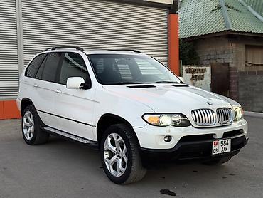 385 55: BMW X5: 2004 г., 3 л, Автомат, Бензин, Кроссовер — 2