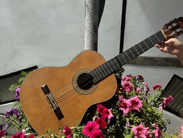 Гитары: Продается гитара 6 струнная, долгое время не использовалась